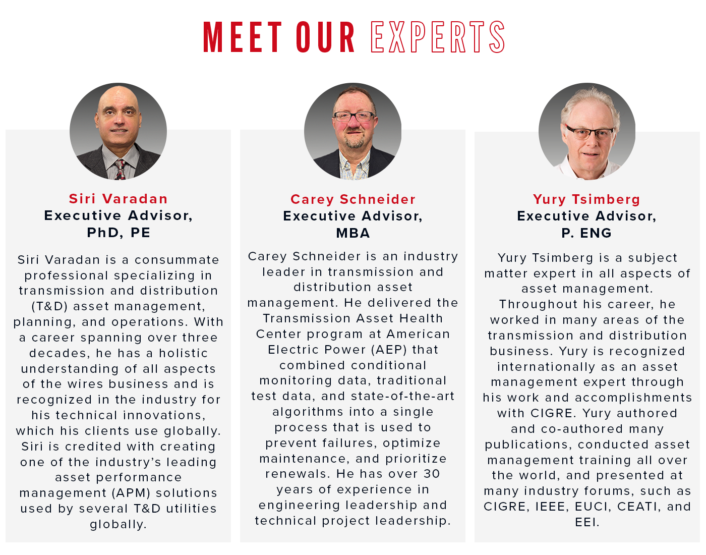 A picture displaying the images, names, title, and short bio of three experts within the Asset Management field.